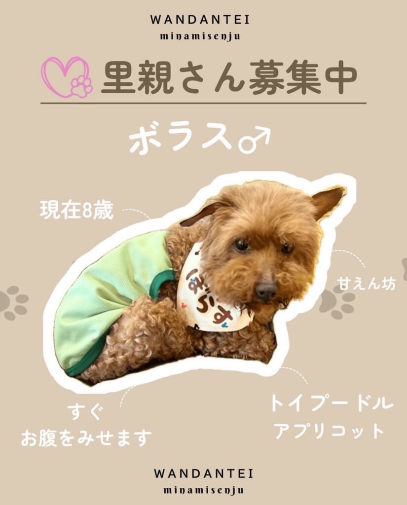 ボラスくん