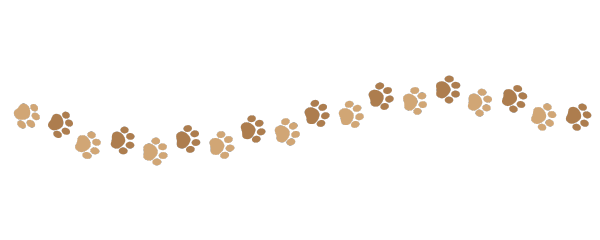 dog paw line