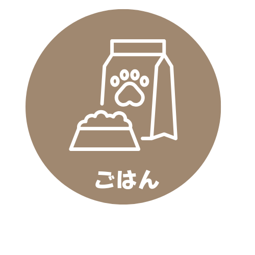 ごはん