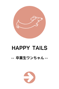 卒業生ワンちゃん紹介ページへ