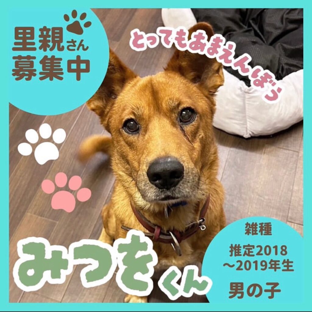 みつをくん