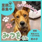 みつをくん