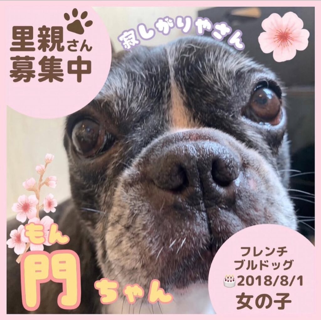 門ちゃん