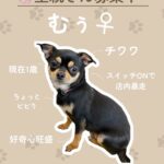 むぅちゃん