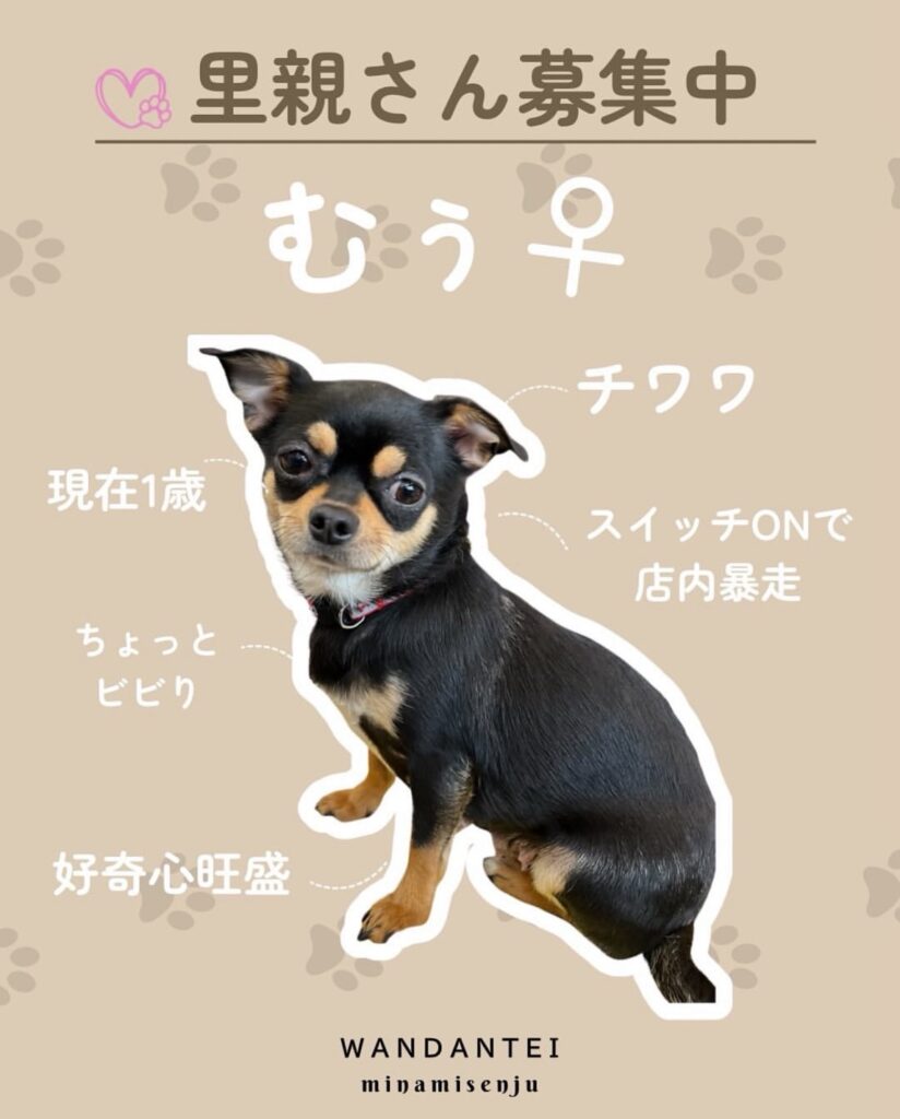 むぅちゃん