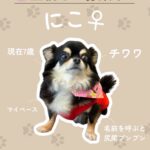 にこちゃん