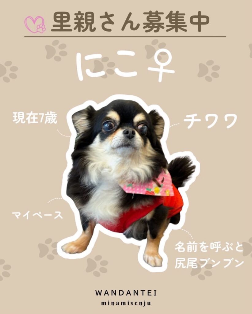 にこちゃん
