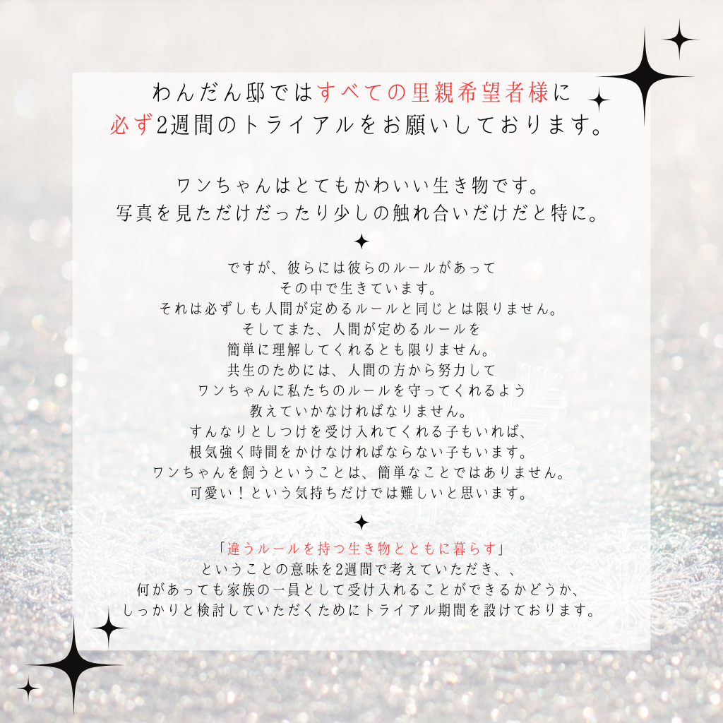 わんだん邸ではすべての里親希望者様に 必ず2週間のトライアルをお願いしております。